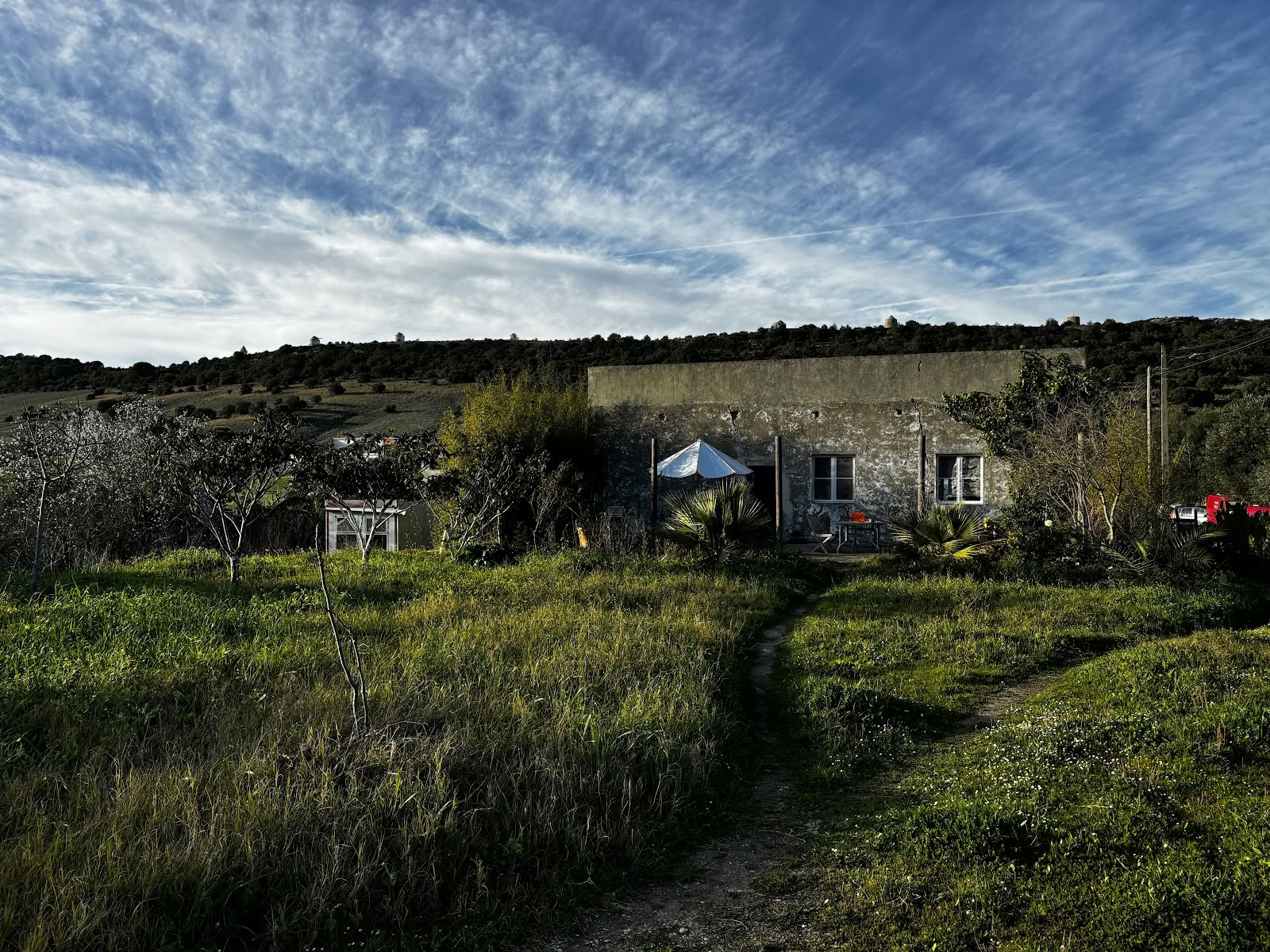СерВиво, кооператив SVDH