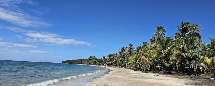 Центр оздоровления Paradise и апартаменты на берегу моря
