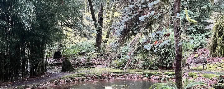 Облачная гора