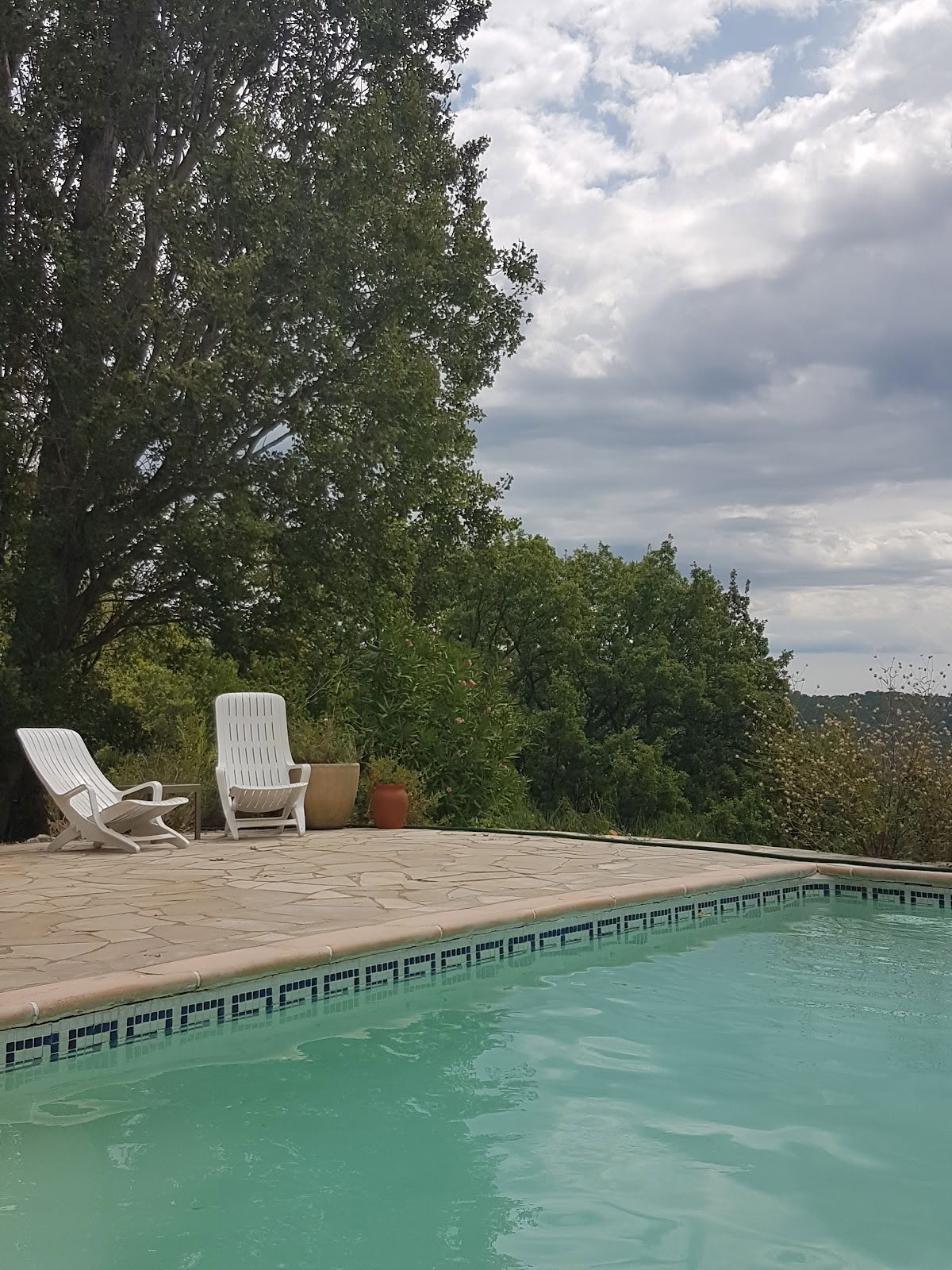 Абрикосы, био-веганский B&B, ретрит-центр, детокс