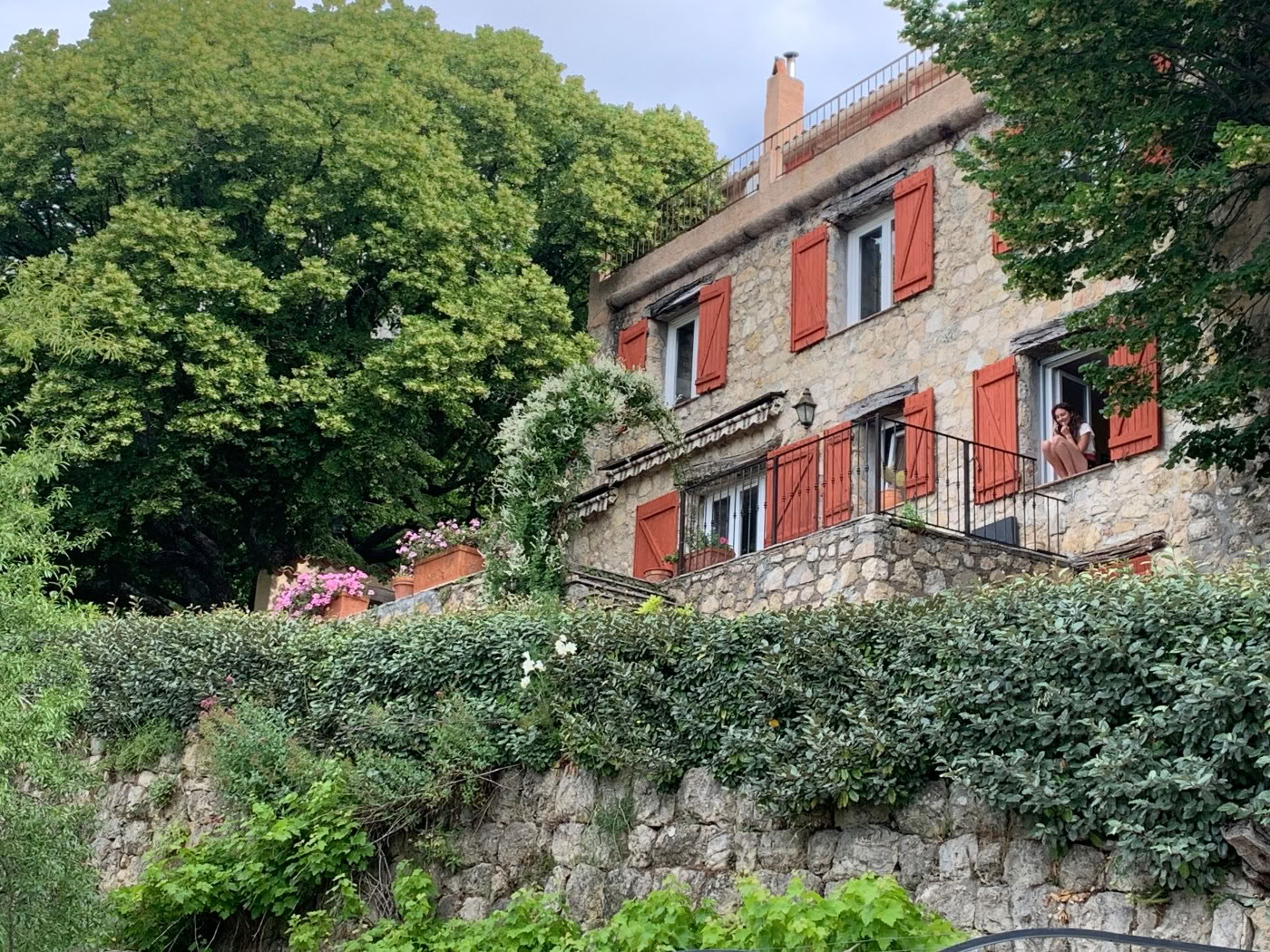 Абрикосы, био-веганский B&B, ретрит-центр, детокс