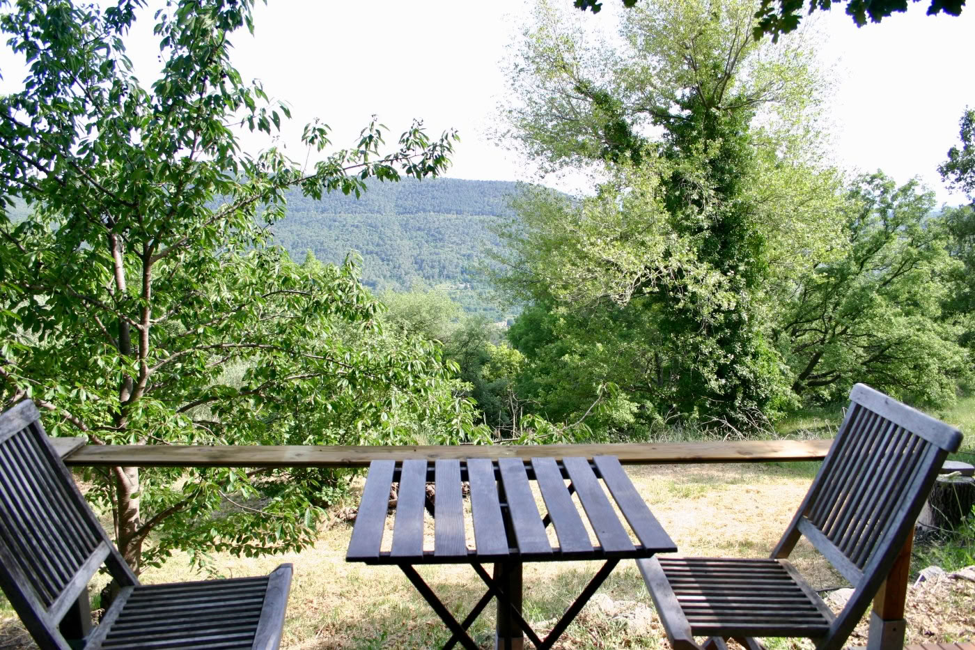Абрикосы, био-веганский B&B, ретрит-центр, детокс