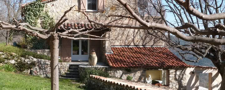 Абрикосы, био-веганский B&B, ретрит-центр, детокс
