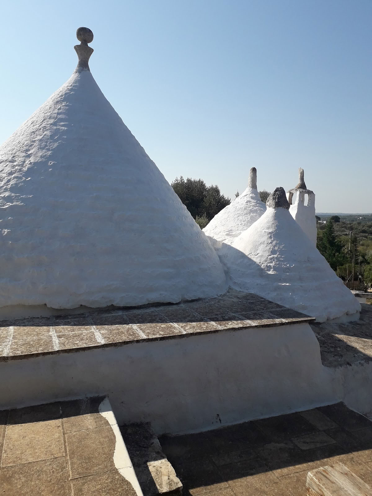 Казина Сеттарте