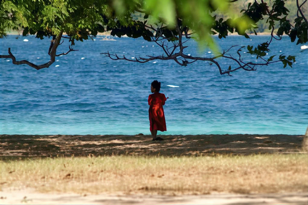 Эко-лодж и ресторан Gili Asahan