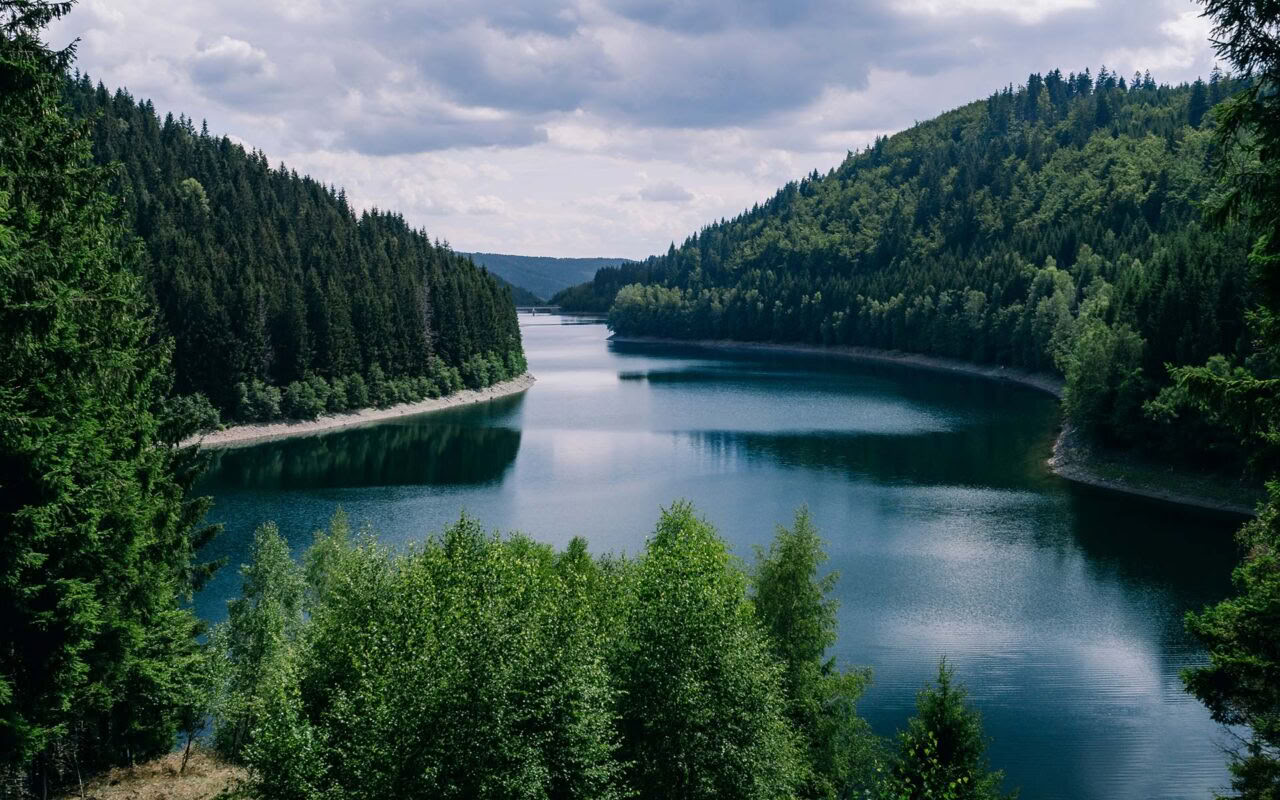 Ретриты по эйтонии
