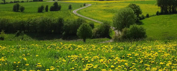 Чамай