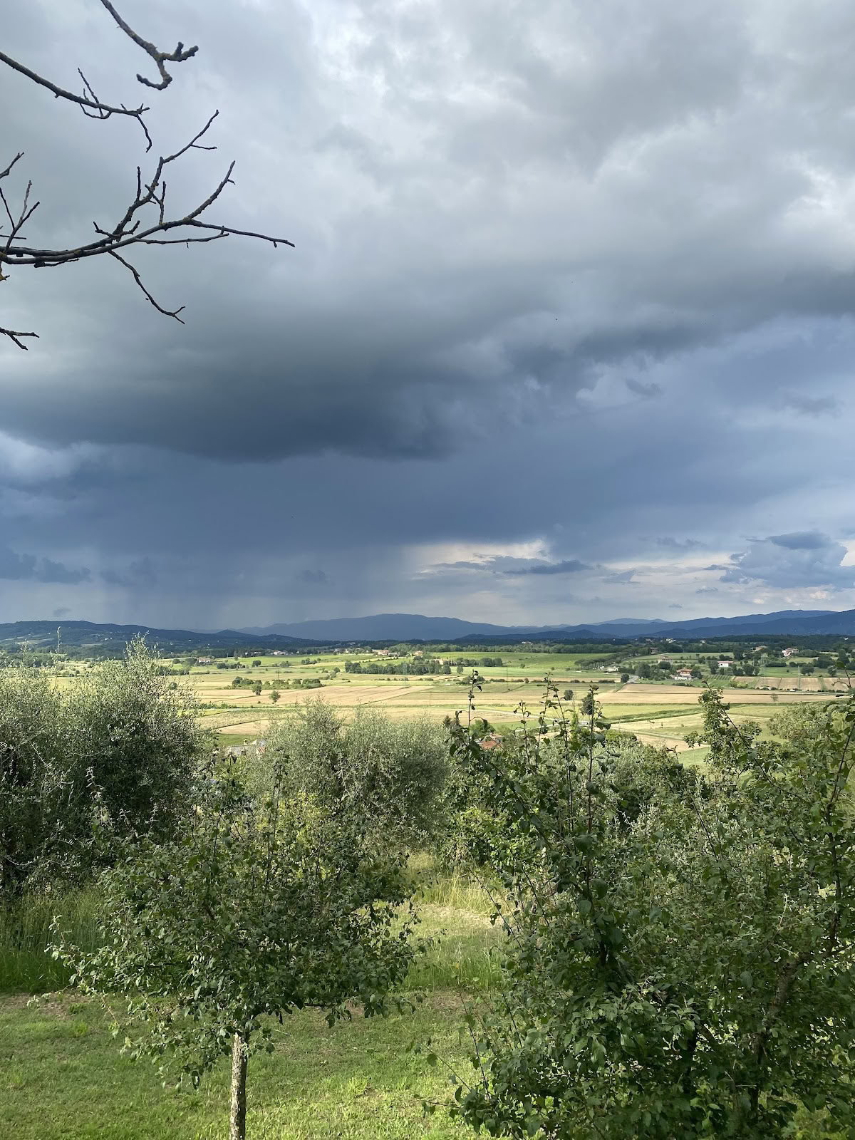 Осознанная жизнь Maraviglia
