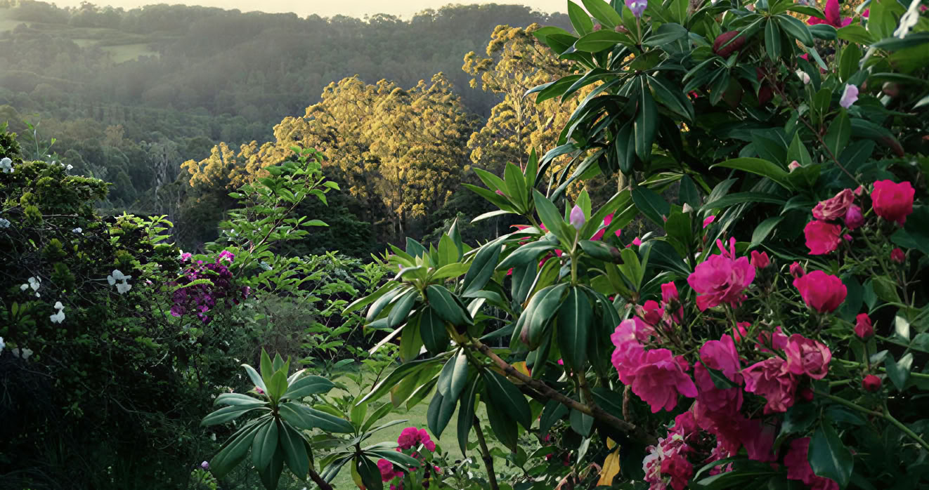 Ретрит Mirador Springs