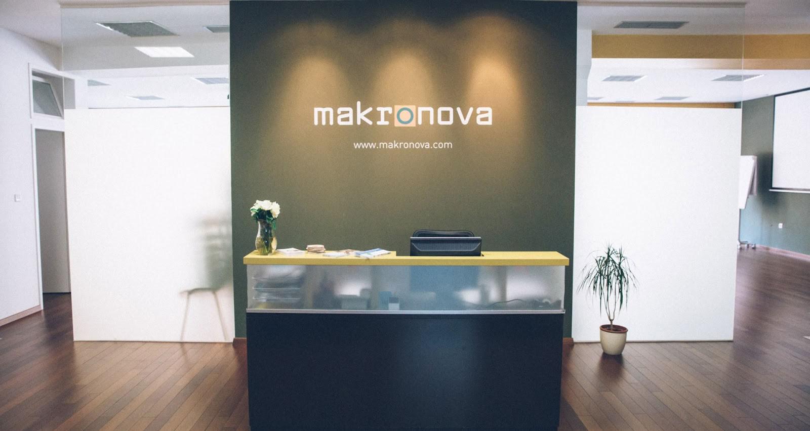 Макронова