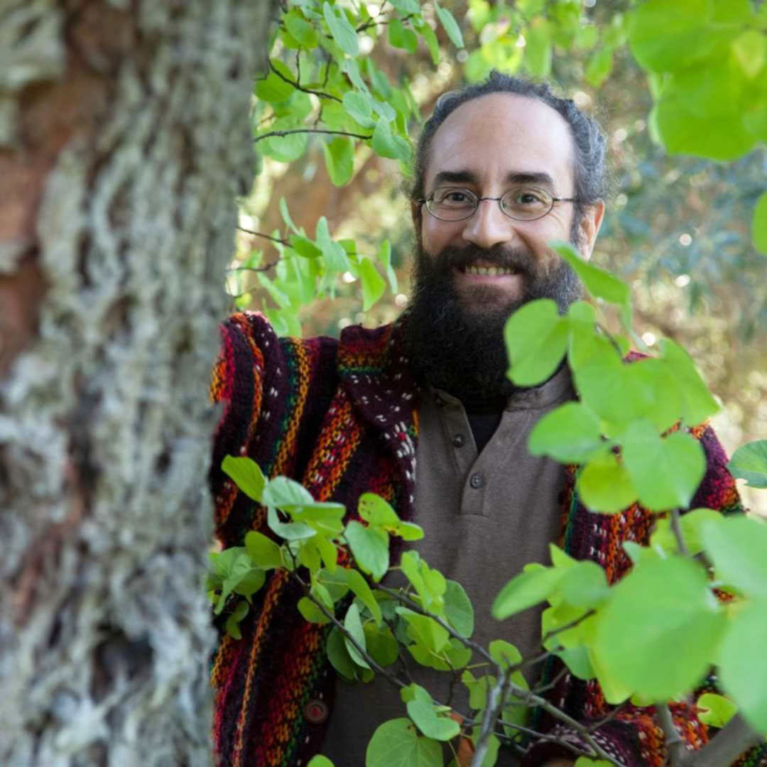 Gerasimos Dimovasillis