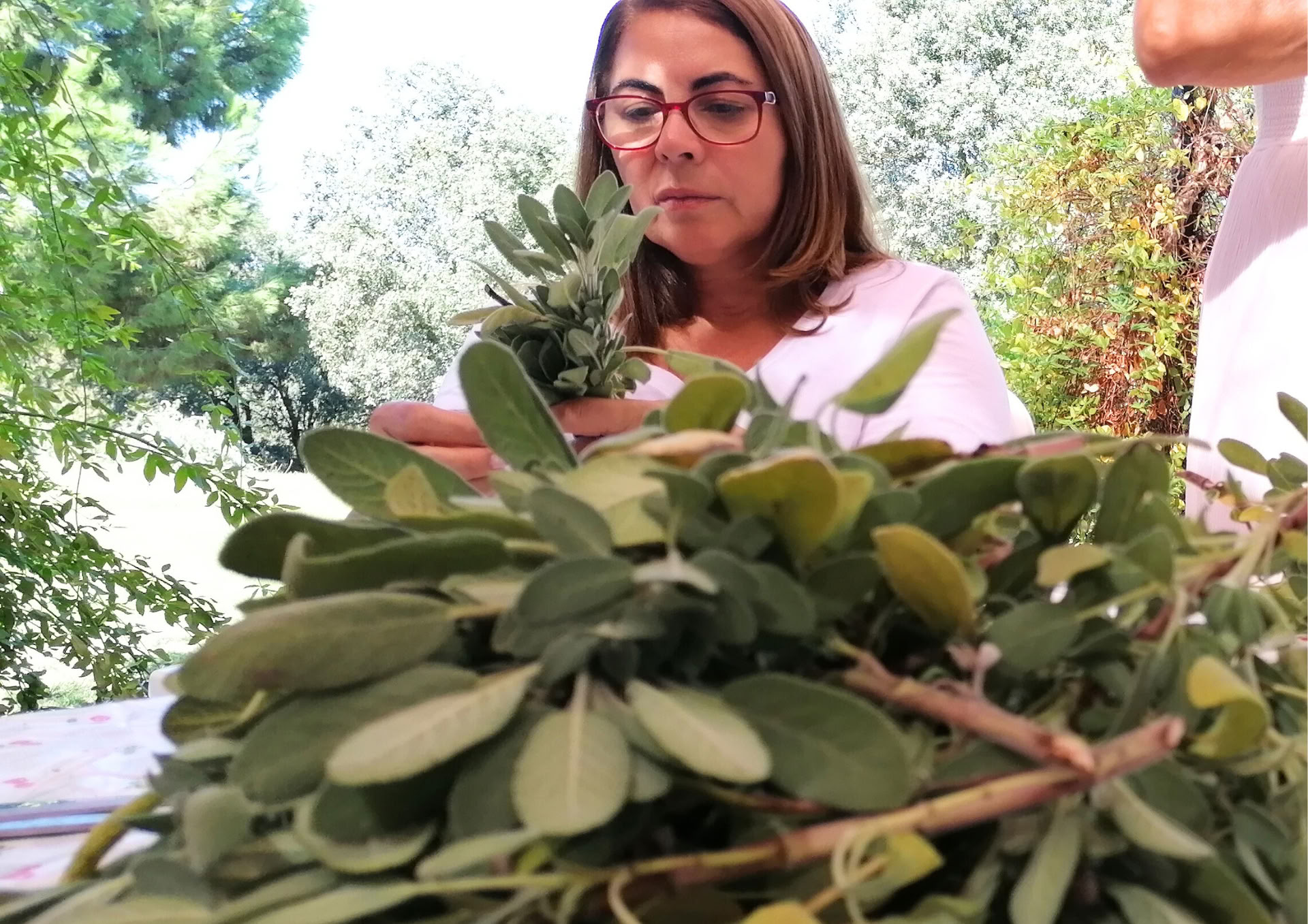 Lelia Matos